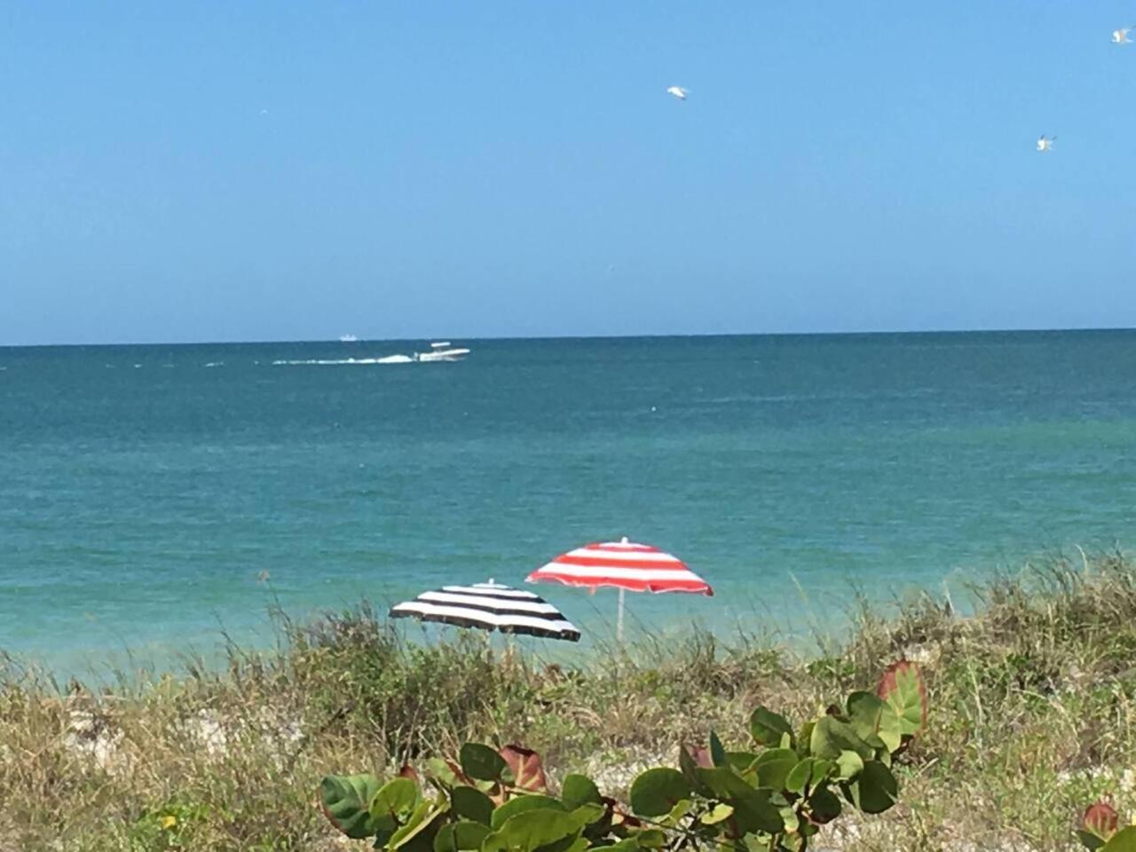 Apartment Blue Water Beachside 1 *